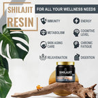Authentic Himalayan Shilajit Resin – 100% Pure (60g / 2.1oz)